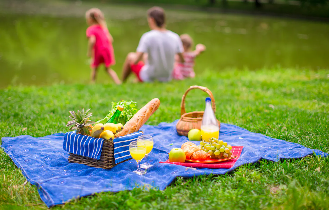 Ein Picknick-Setup mit Obst, Brot, Saft und Körben auf einer blauen Decke - perfekt für Geburtstagsfeiern im Herbst: Ideen und Inspirationen - mit einem Erwachsenen und zwei Kindern, die im Hintergrund an einem Teich sitzen.